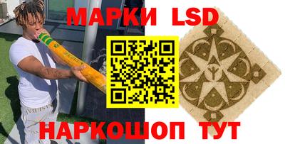 дмт Аргун