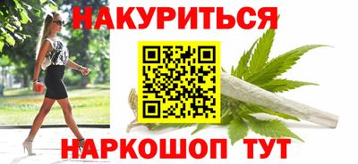 дмт Аргун