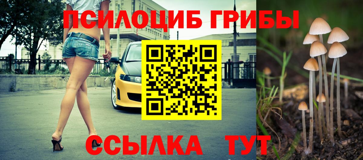 Галлюциногенные грибы GOLDEN TEACHER  Вход с VPN  Волгодонск  наркотики  Псилоцибиновые грибы MAGIC MUSHROOMS 
