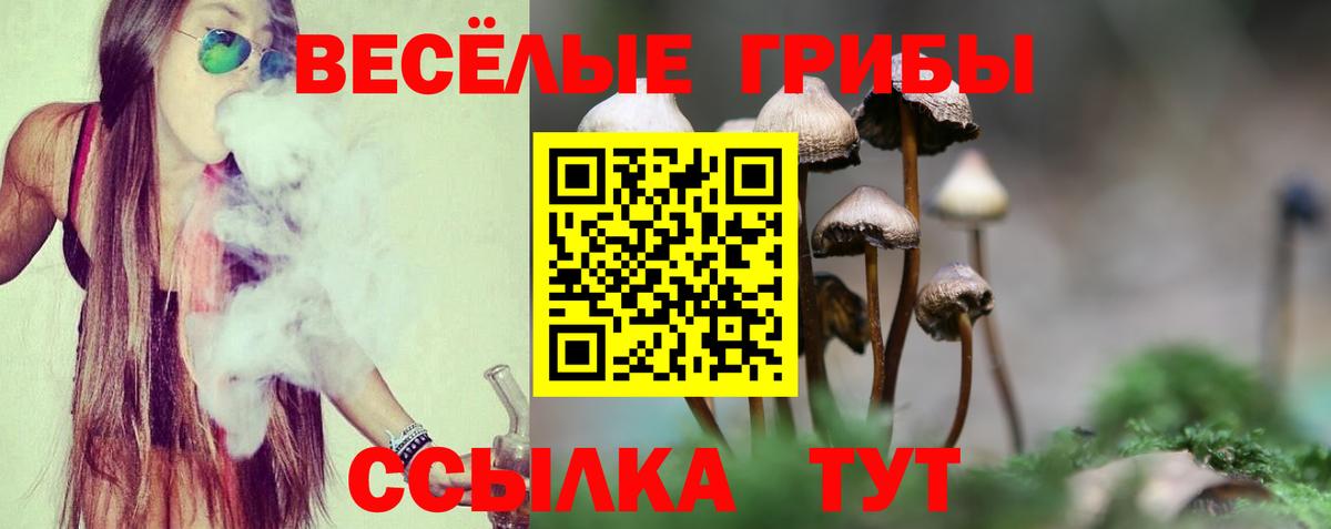 Галлюциногенные грибы Cubensis Волгодонск
